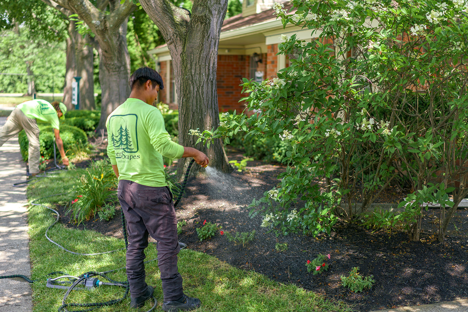 GREENSCAPES ACTION SHOTS