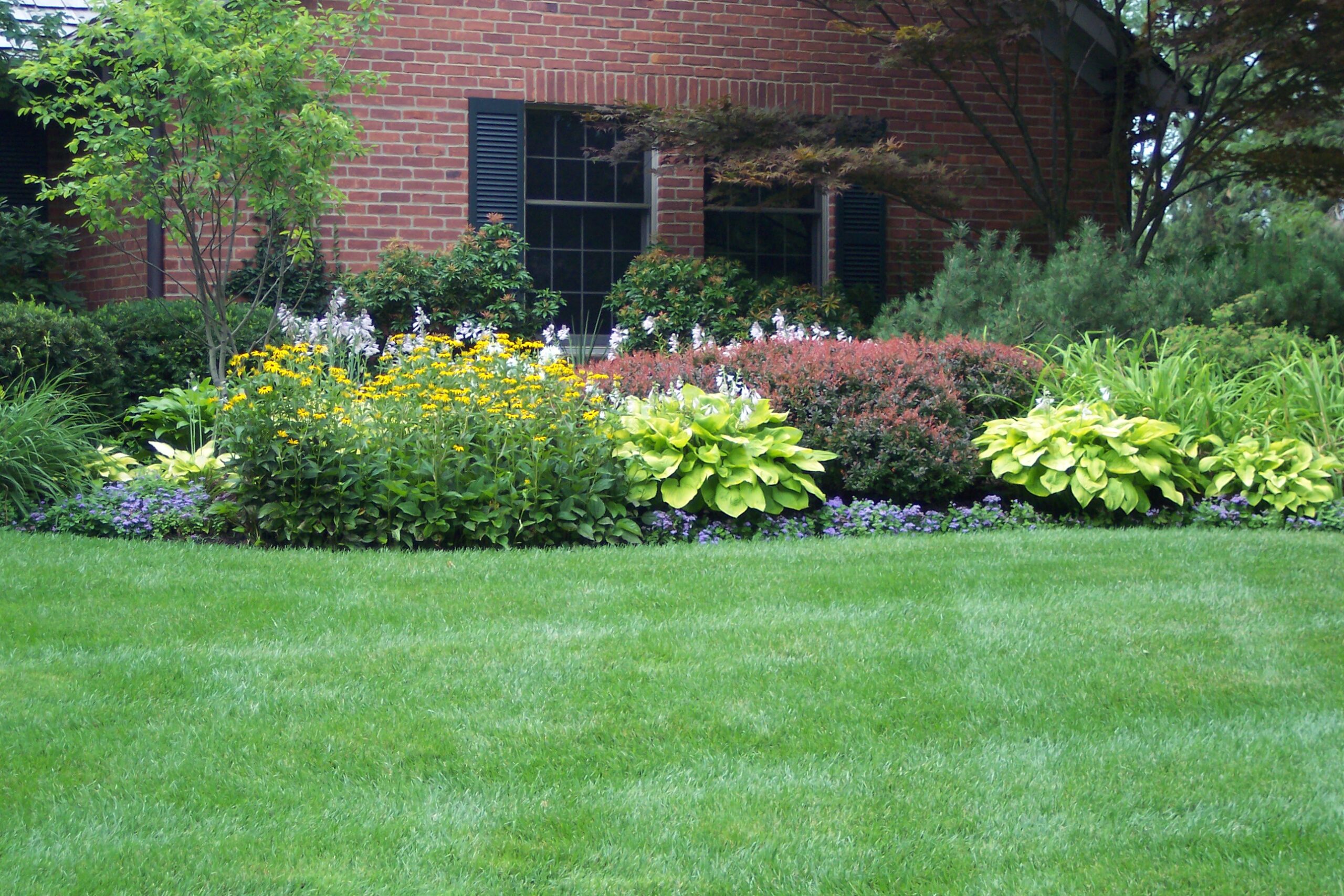 Plantings