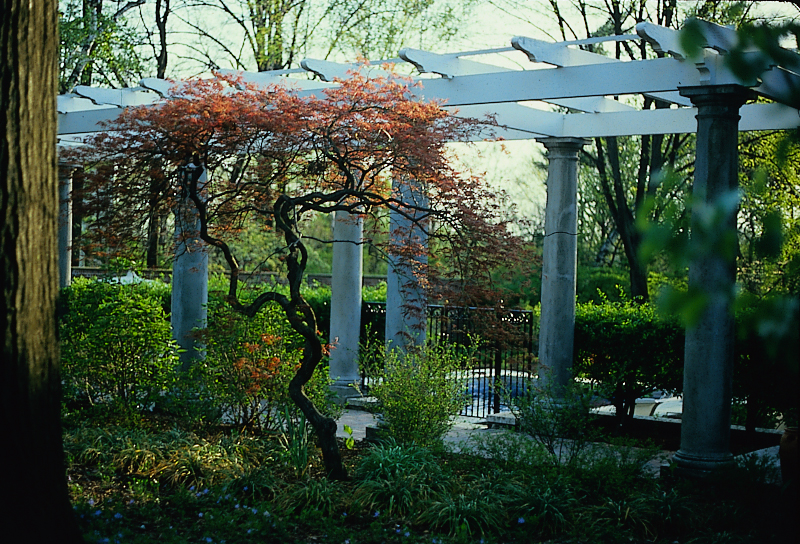 Pergola