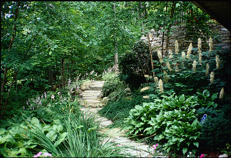 Plantings & Walkway