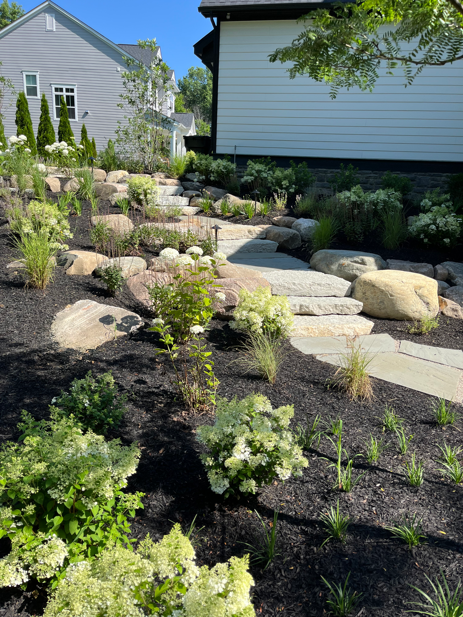 Plantings & Walkway