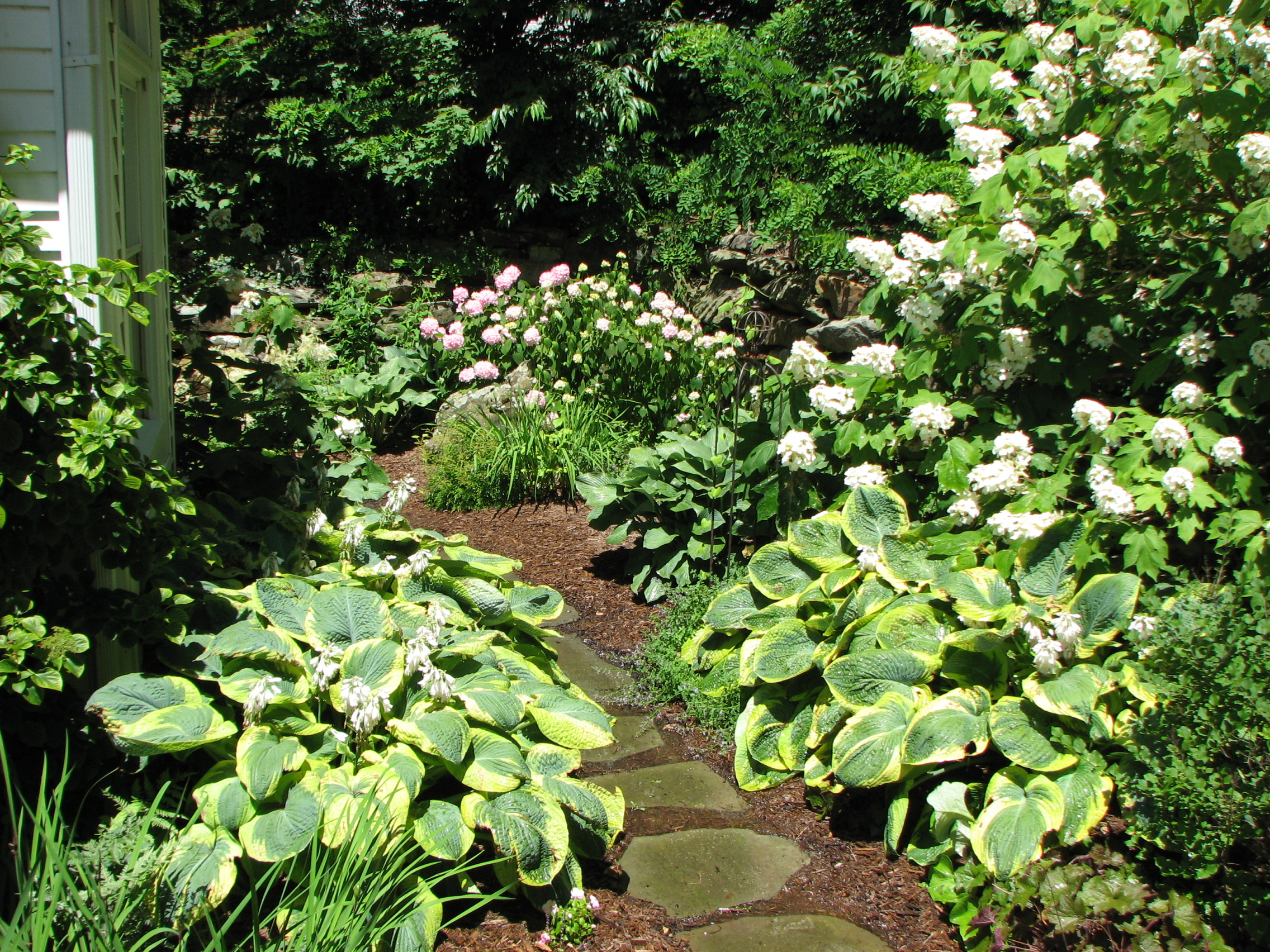 Plantings